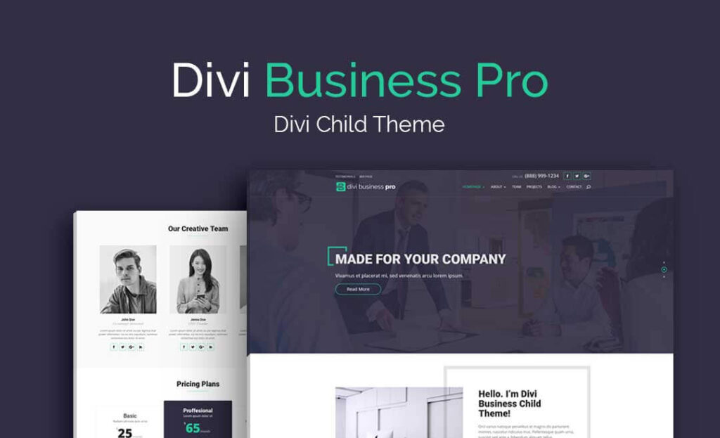 Divi Business Pro child theme